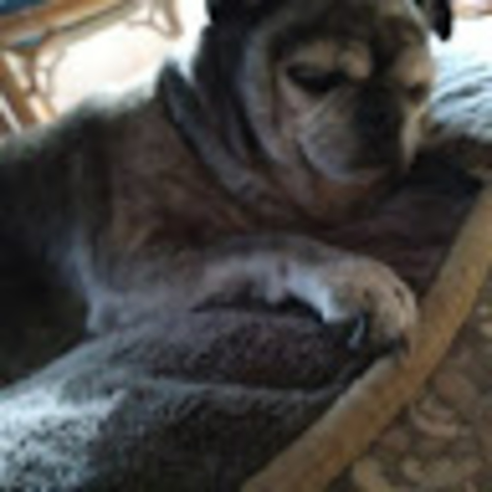 Meet your Posher, Tater